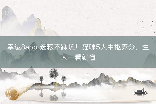 幸運8app 選糧不踩坑！貓咪5大中樞養(yǎng)分，生人一看就懂