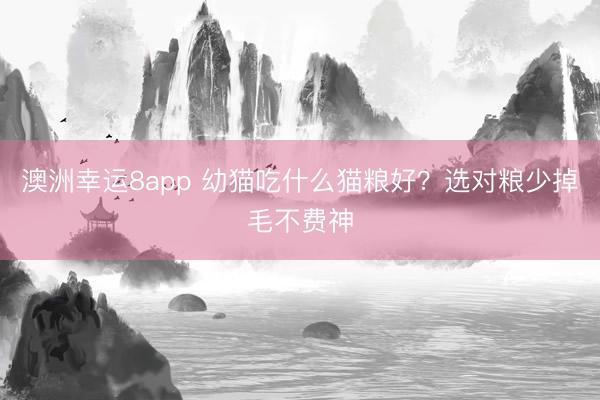 澳洲幸運(yùn)8app 幼貓吃什么貓糧好？選對(duì)糧少掉毛不費(fèi)神