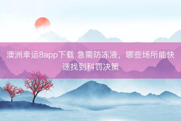 澳洲幸運8app下載 急需防凍液,哪些場所能快速找到科罰決策