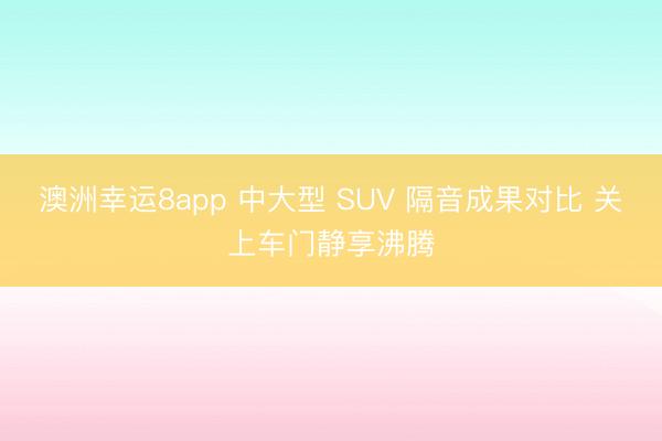 澳洲幸運8app 中大型 SUV 隔音成果對比 關上車門靜享沸騰